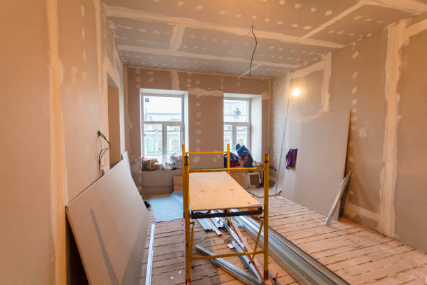 Mold Odor Removal Services in Latta, OK