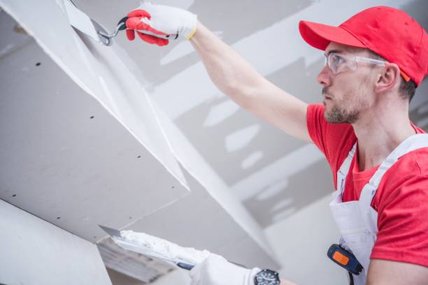 Best Attic Mold Removal  in Latta, OK